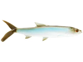 13 Fishing Coalition The Ladyfish Swimbait