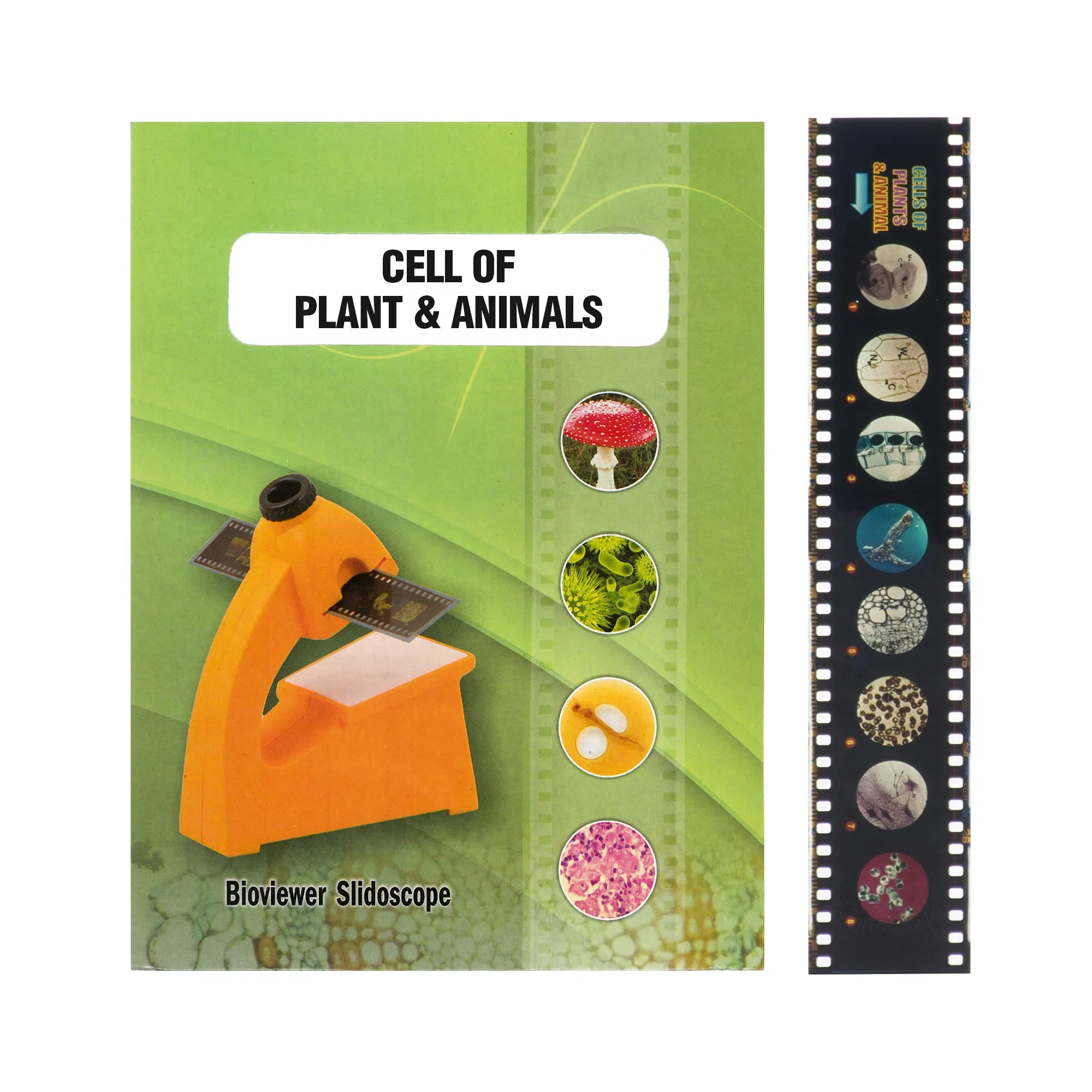 Multi-Slide Viewer Set - Includes One Slide Strip & Instructions - Easy To Use - Eisco Labs
