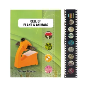 Multi-Slide Viewer Set - Includes One Slide Strip & Instructions - Easy To Use - Eisco Labs