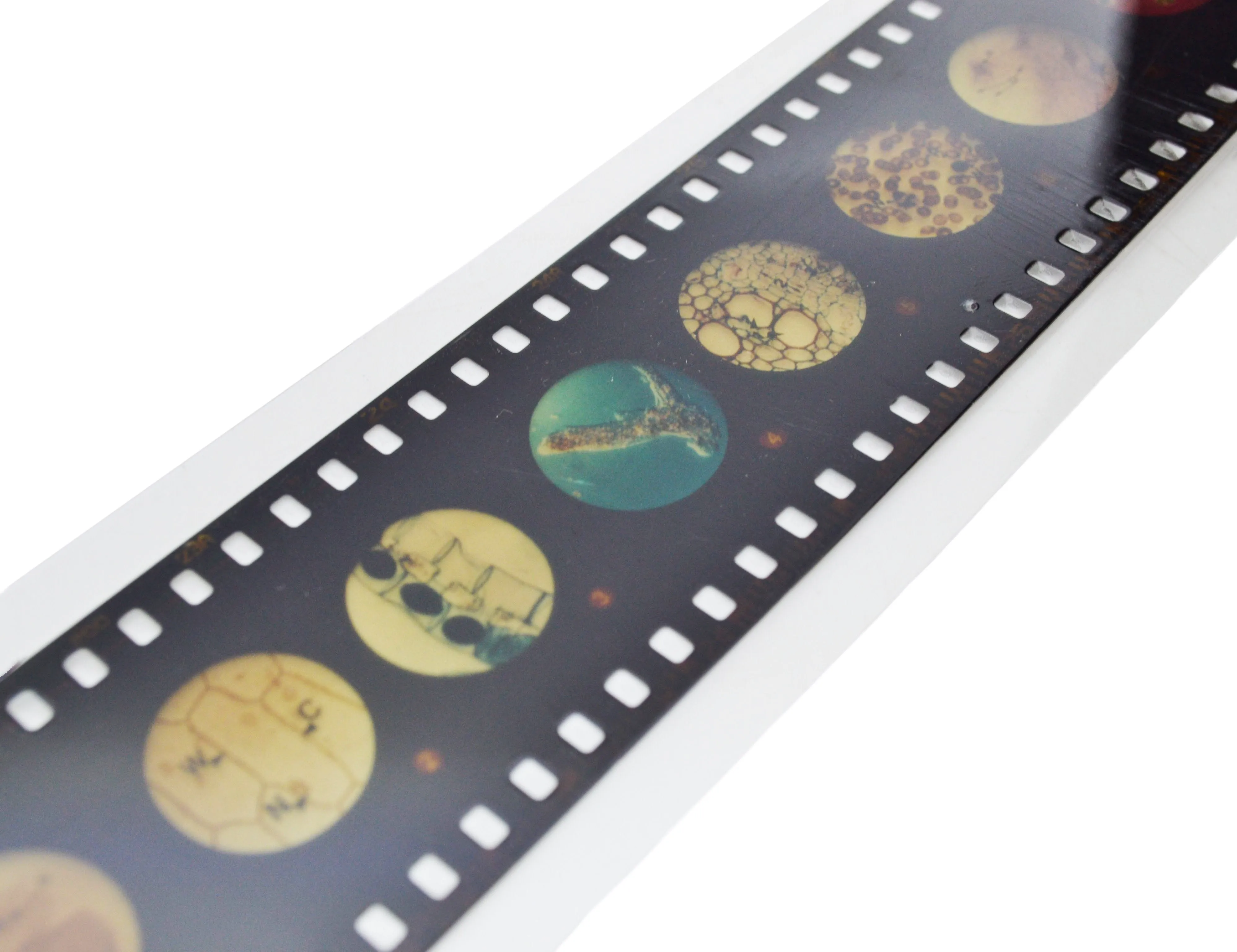 Multi-Slide Viewer Set - Includes One Slide Strip & Instructions - Easy To Use - Eisco Labs