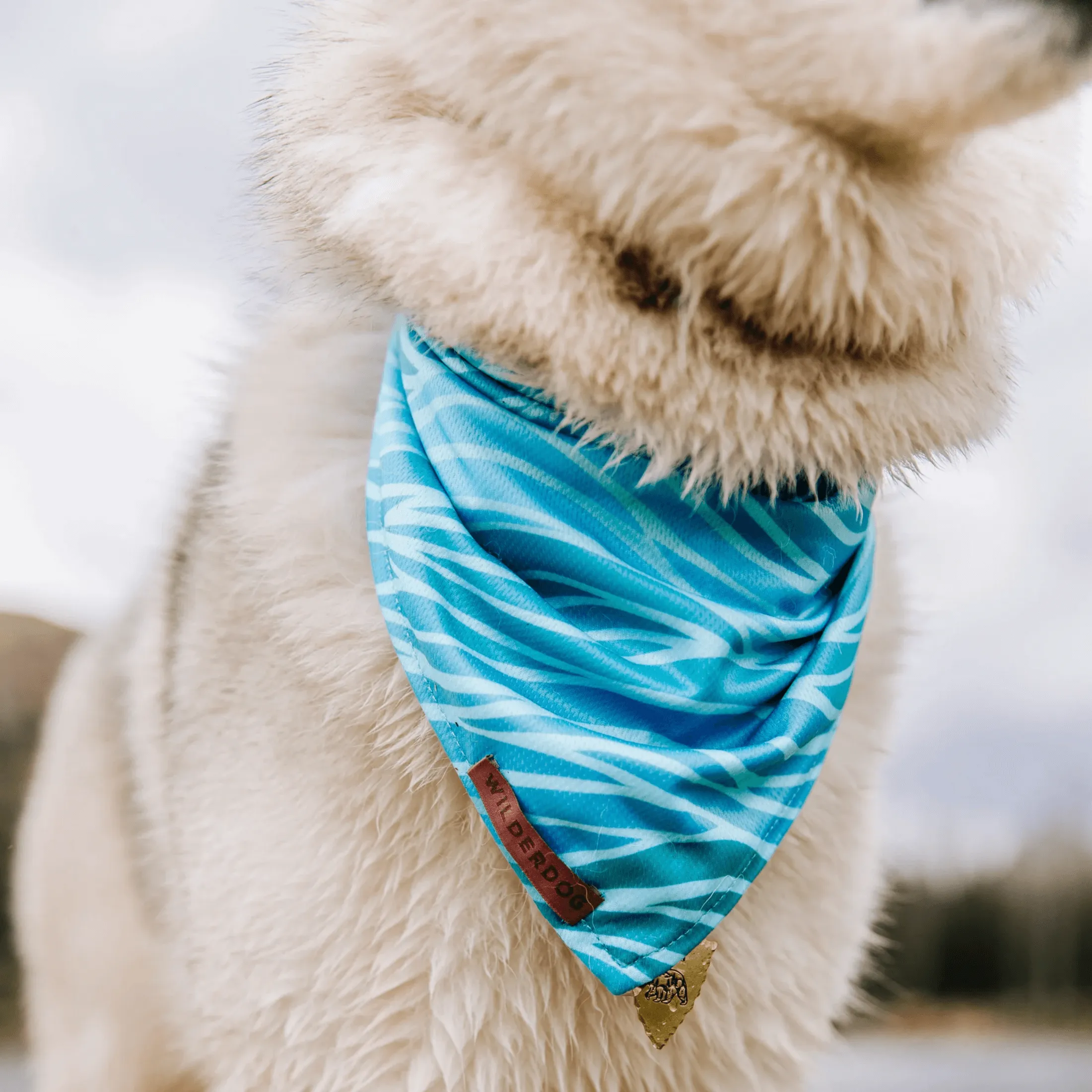 Olas Cooling Bandana