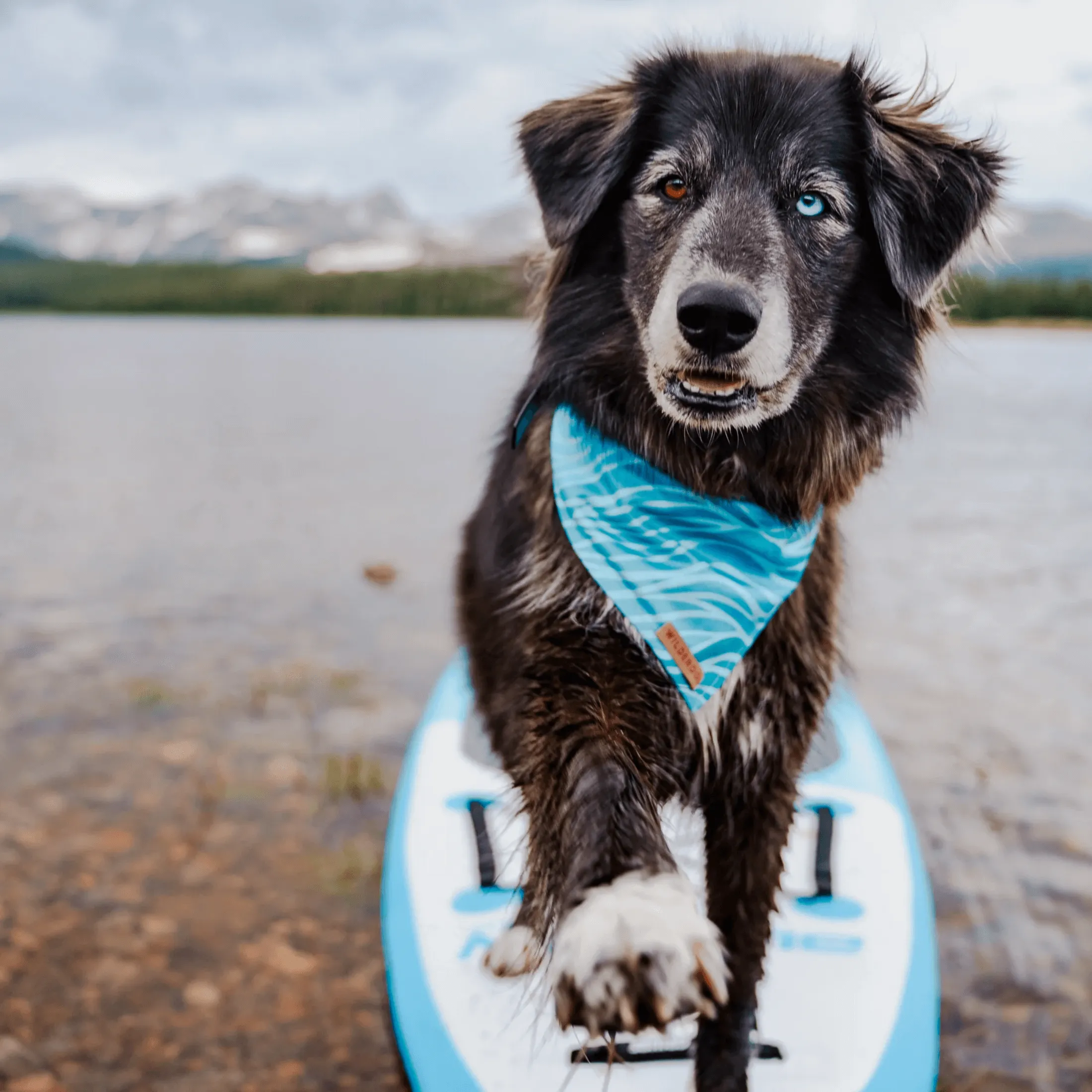 Olas Cooling Bandana