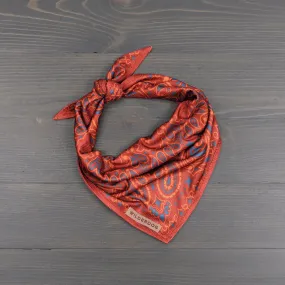 Rodeo Cooling Bandana